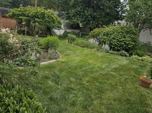 Mary G.'s Lawn Care service result