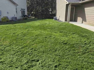 Danny W.'s Lawn Care service result