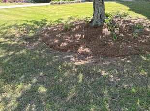 Weeding by Guillermo Domenech for Ken V. in Marietta, GA