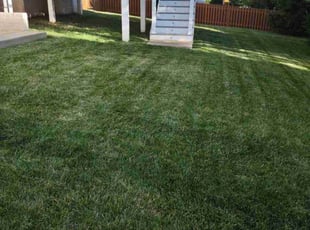 Julian B.'s Lawn Maintenance service result