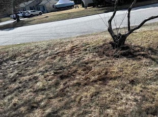 Cleanups by Steve Valverde for Mark S. in North Kingstown, RI