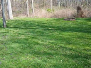 Stephen S.'s Lawn Service service result