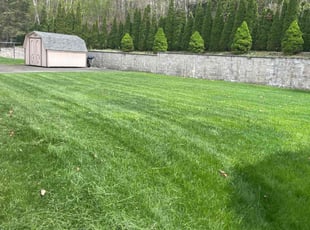 Direace J.'s Lawn Care service result