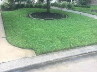 Maureen B.'s Lawn Care service result