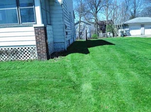 Ken F.'s Lawn Maintenance service result