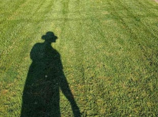 Michael D.'s Lawn Mowing service result