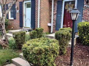 Bush Trimming by Allan Roberts for Michelle L. in Rockville, MD