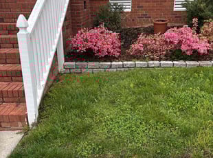 Bush Trimming by Bobby Gillis for Anne J. in Apex, NC