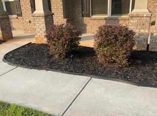 Tinita S.'s Mulching service result