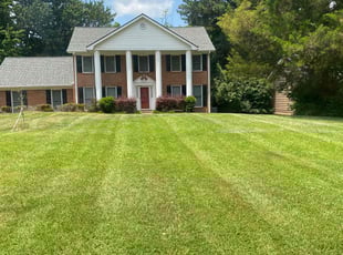 Pierrie S.'s Lawn Care service result