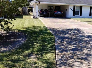 Stacey T.'s Lawn Mowing service result