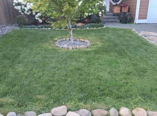 Velvet F.'s Lawn Care service result