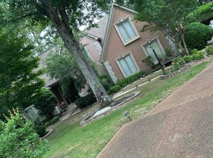 Bush Trimming by Cornelius White for Sunsiray W. in Memphis, TN