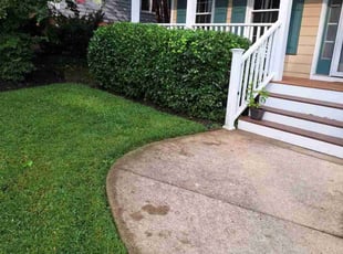 Bush Trimming by Charles Metzger for Mary C. in Midlothian, VA