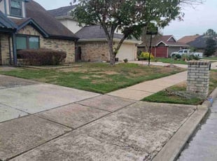 Bush Trimming by Hugo Melgar for Robert F. in Sugar Land, TX