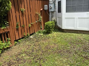 Bush Trimming by Luiz Gosling De Oliveira for Benjamin F. in Laurel, MD