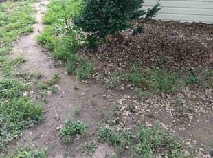 Cleanups by Deandra Lampkins for Amelia H. in Granite City, IL