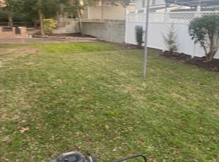 Leaf Removal by Andree Dualan for Jonea C. in Norfolk, VA