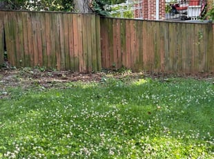 Leaf Removal by Steven Foster for Jennifer C. in Washington, DC