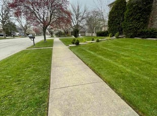 George H.'s Lawn Mowing service result