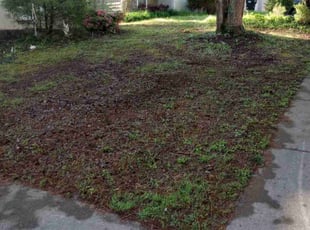 Leaf Removal by Montgomery Roberts for Donna K. in Woodstock, GA