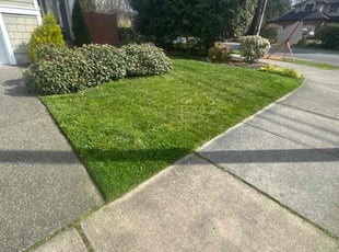Rupika G.'s Lawn Mowing service result