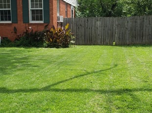 Jamillah O.'s Lawn Maintenance service result
