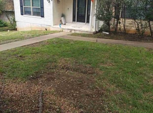 Bush Trimming by Rene Gabriel Ramirez for Christine W. in Austin, TX
