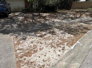 Leaf Removal by Luis Longa for Lorraine K. in Orlando, FL
