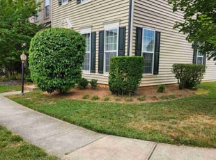 Bush Trimming by Mark Burke for Larry B. in Bristow, VA
