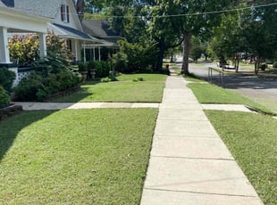 Lamar L.'s Yard Cutting service result