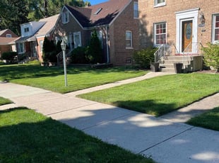 James M.'s Yard Cutting service result