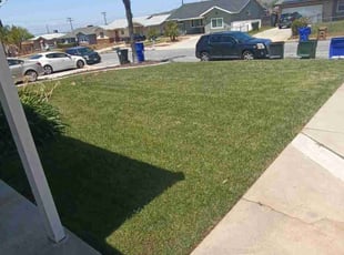 Hank I.'s Lawn Mowing service result