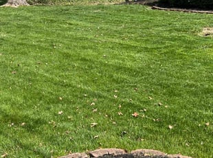 Christie P.'s Grass Cutting service result