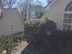Bush Trimming by Chris Towery for Robert S. in Loganville, GA