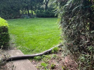 Antowan D.'s Lawn Care service result