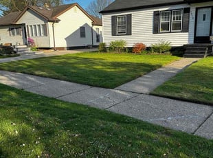 Linda W.'s Lawn Mowing service result