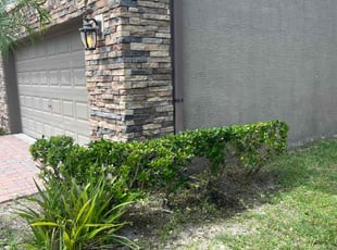 Bush Trimming by Paul Bartholomew for Tina A. in Palm Bay, FL