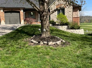 Emily S.'s Grass Cutting service result