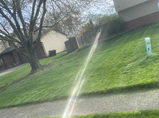 Maritza V.'s Lawn Care service result