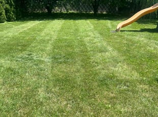 Randy B.'s Lawn Care service result