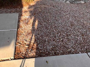 Leaf Removal by Jose Castro for Magikk D. in San Tan Valley, AZ