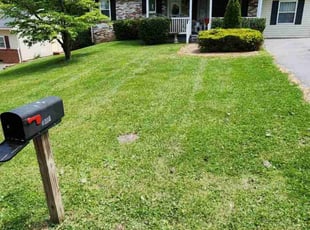 Bush Trimming by John Bury for Travis S. in Knoxville, TN