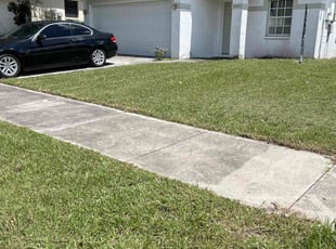 Karolyn T.'s Lawn Mowing service result