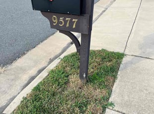 Bush Trimming by LaWanda Moses for Terri O. in Mechanicsville, VA