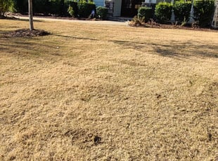 Leaf Removal by Michael steele for Xiaohu X. in Morrisville, NC