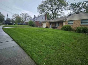 Shirley M.'s Yard Cutting service result