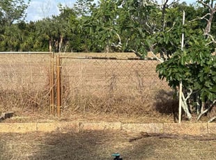 Cleanups by Cheryl Badger for Rob t. in Holiday, FL