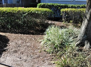 Bush Trimming by William Chambers for Sherwin S. in Orlando, FL