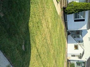 Kenton B.'s Lawn Mowing service result